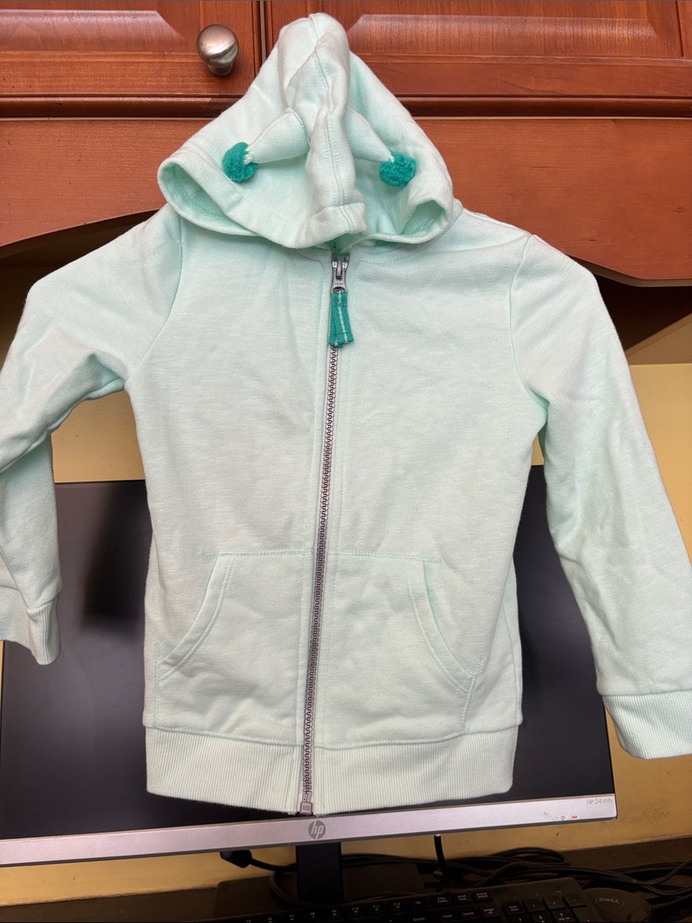 Kids Mint Green Zip-Up Hoodie w Butterfly Back and Hood Embellishment